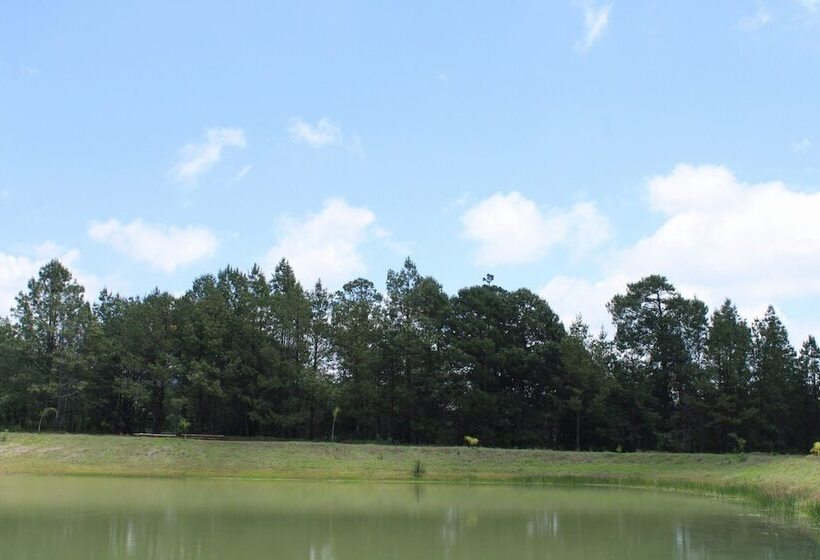 ホテル Cabañas Rancho El Mayab