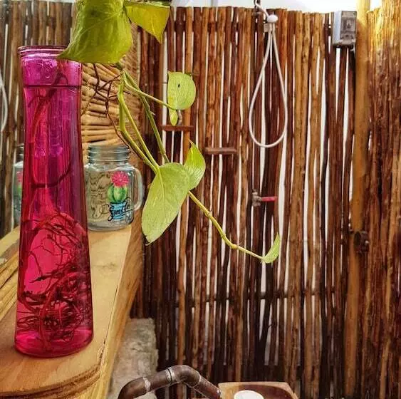 El Búho Bacalar Eco Cabañas Hostal