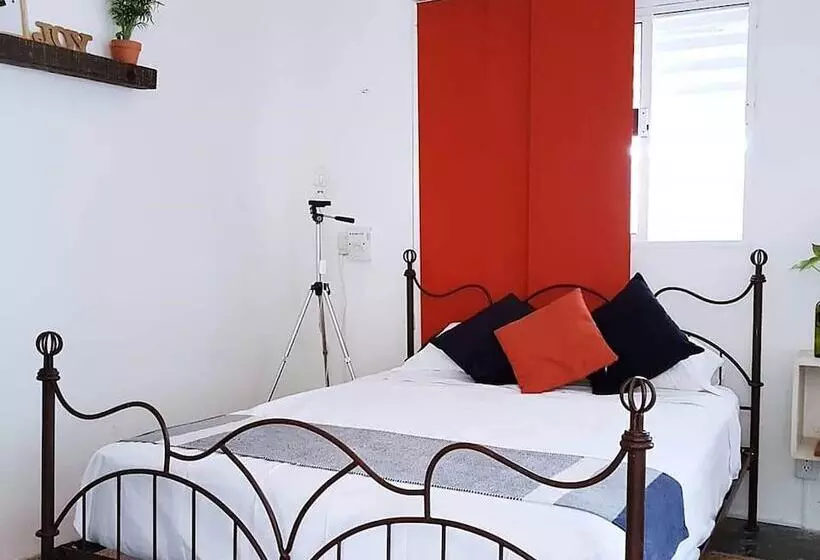 El Búho Bacalar Eco Cabañas Hostal