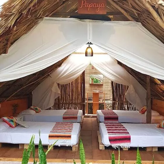 El Búho Bacalar Eco Cabañas Hostal