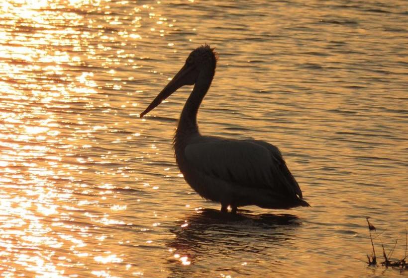 צימר Golden Park