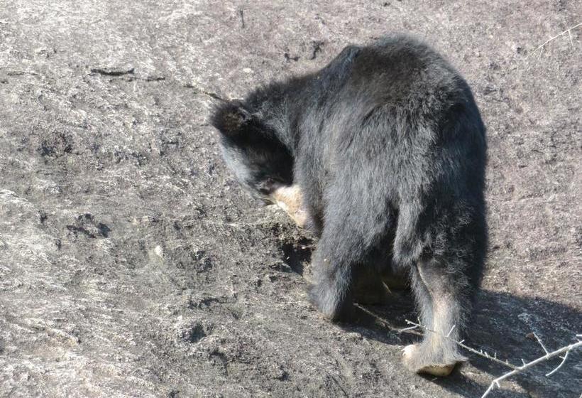 צימר Golden Park