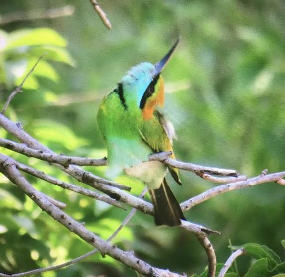 צימר Golden Park