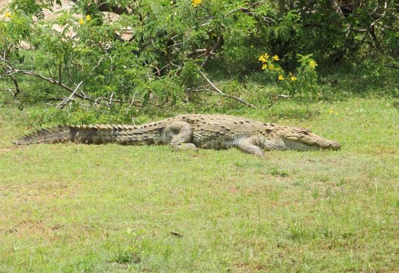 צימר Golden Park