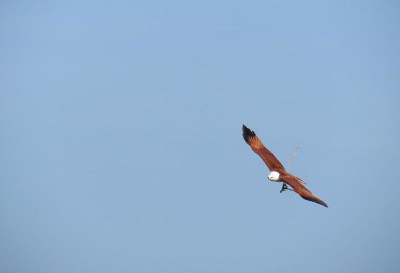 צימר Golden Park