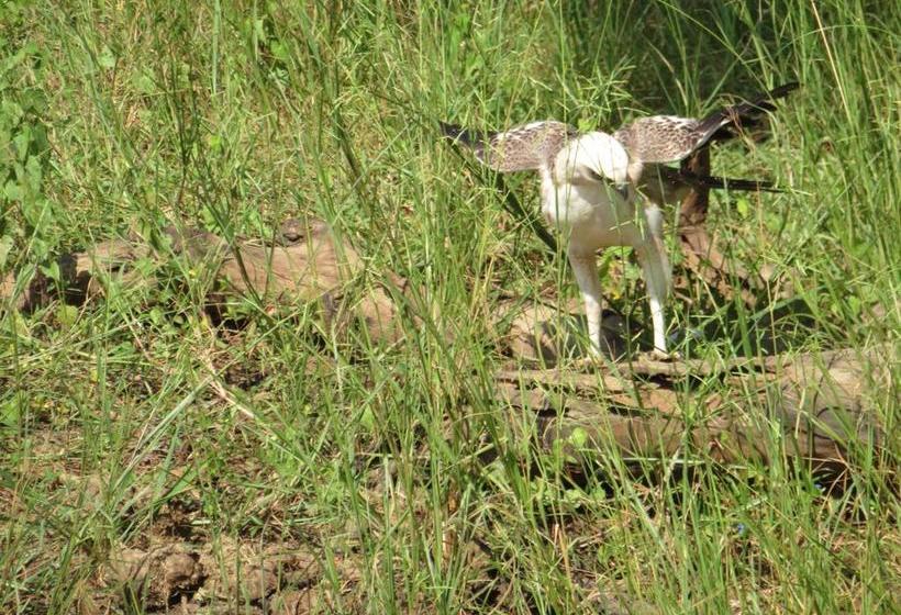 צימר Golden Park