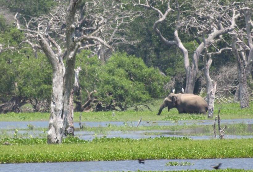 צימר Golden Park
