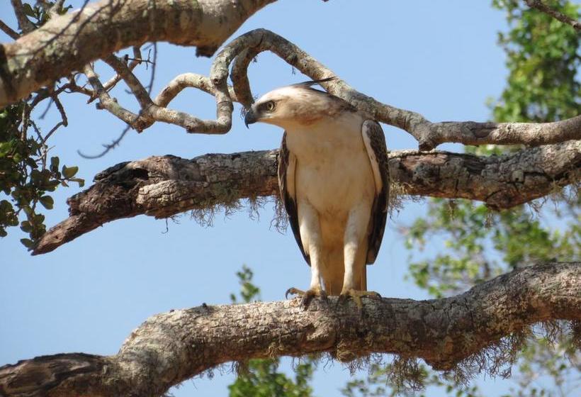 צימר Golden Park