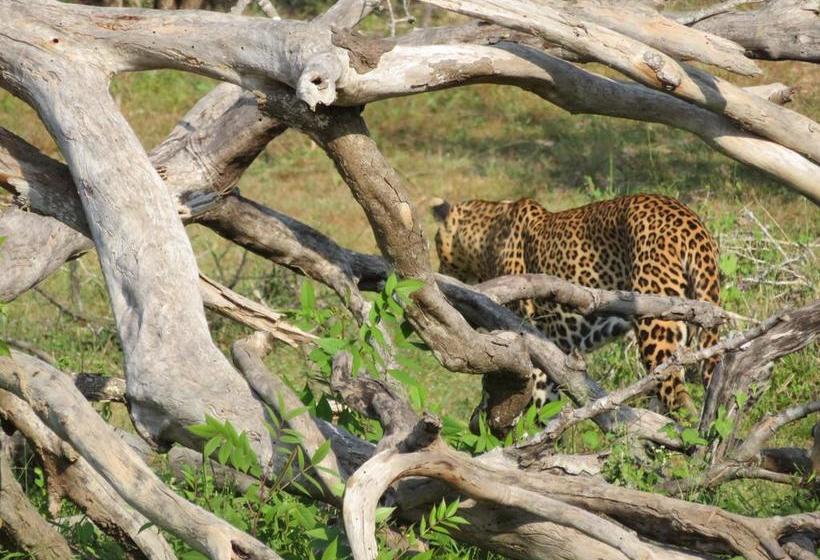 צימר Golden Park