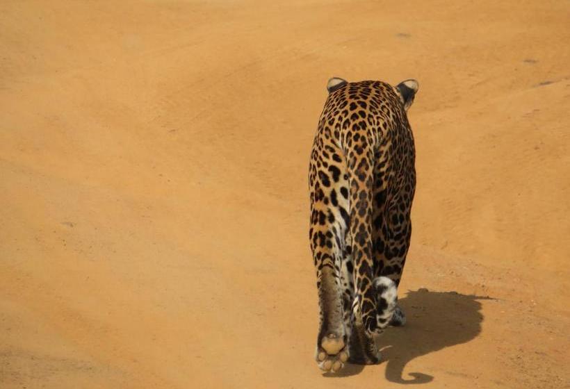 צימר Golden Park