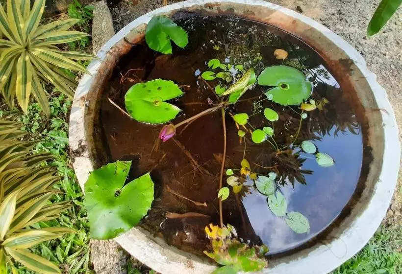 تختخواب و صبحانه Mass Eco Cabana Yoga & Spa   Unawatuna