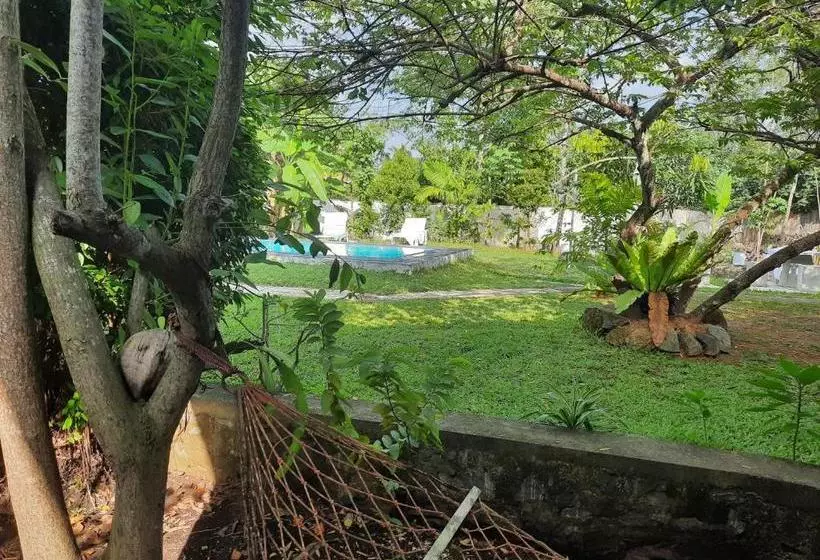 تختخواب و صبحانه Mass Eco Cabana Yoga & Spa   Unawatuna