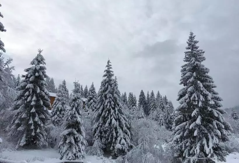 هتل Chalet Filvarok
