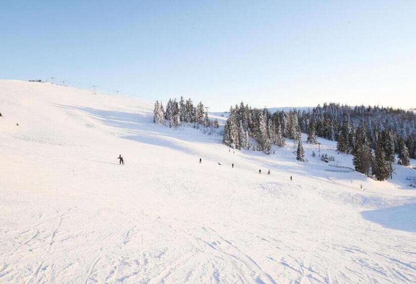 ホテル Zahar Berkut