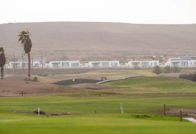 Ereza The White Homes