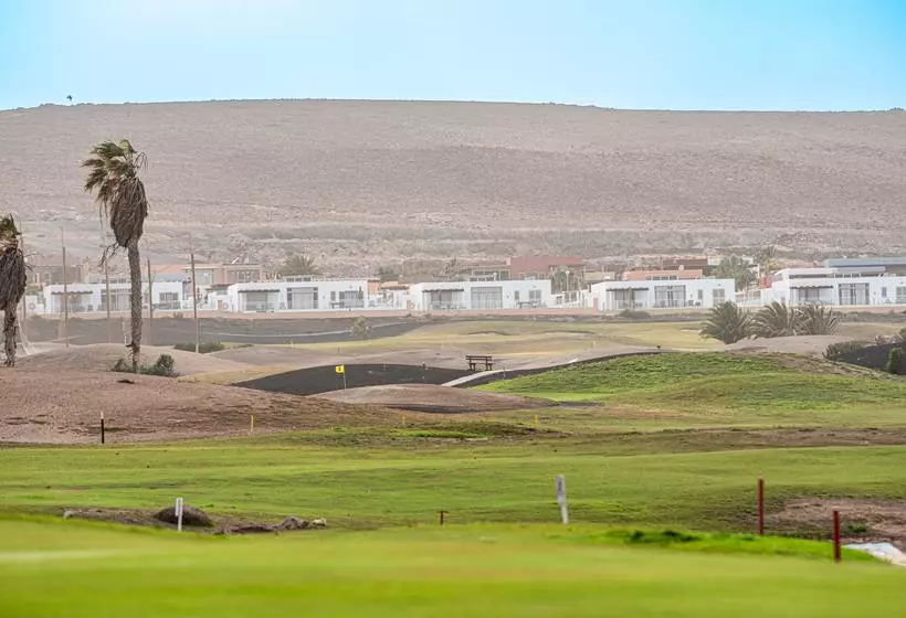 Ereza The White Homes