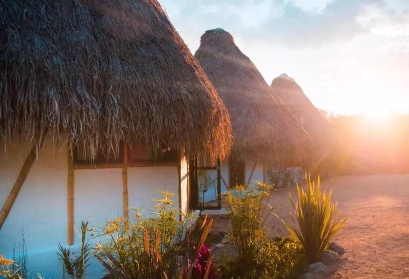 ホテル San Augustin   Standard Double Room   Colombia