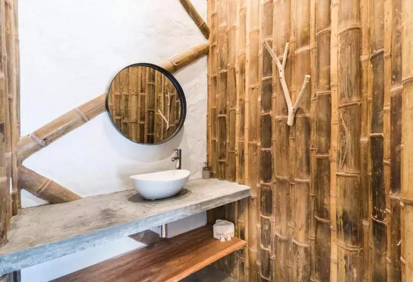 ホテル San Augustin   Standard Double Room   Colombia