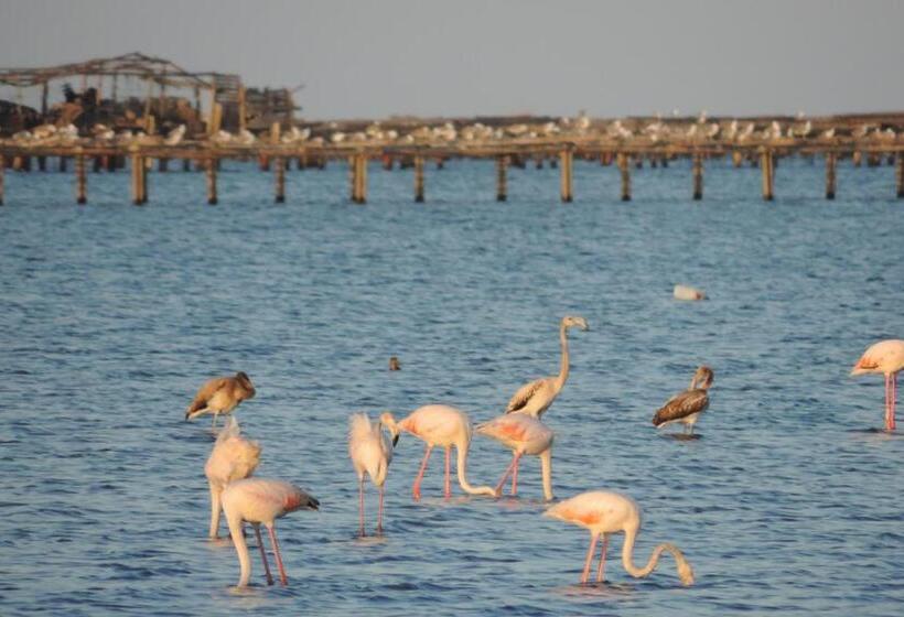 Alberg Deltebre Xanascat