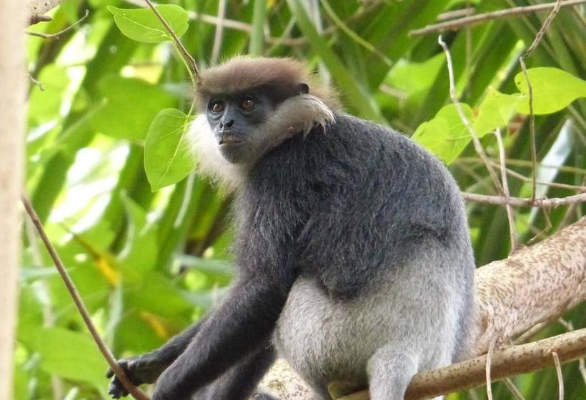 تختخواب و صبحانه H&c Heaven Beach