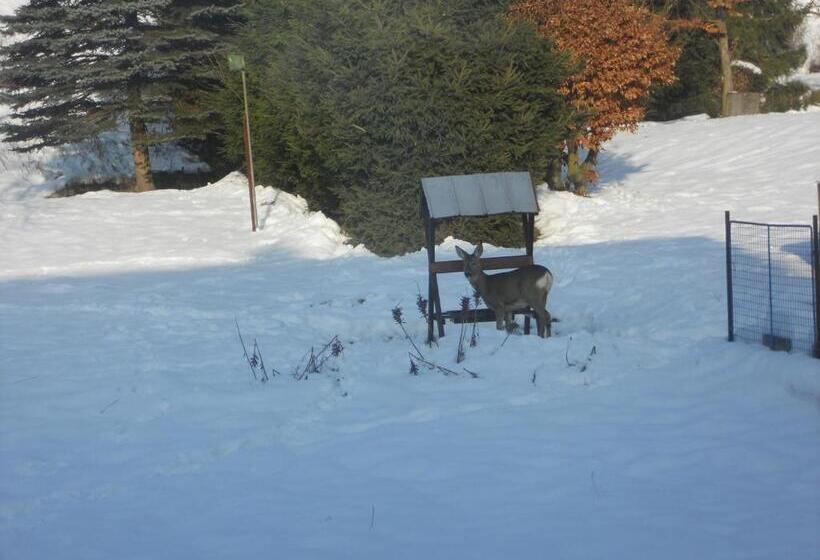 تختخواب و صبحانه Previt Janek