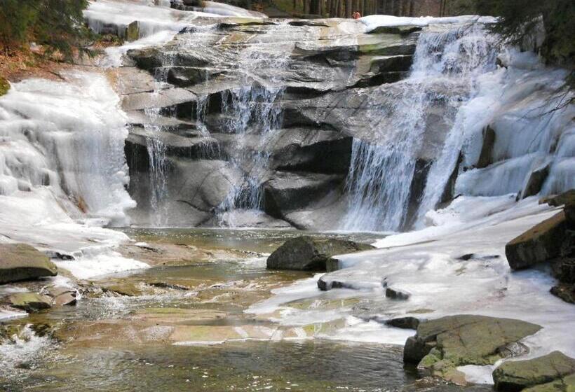 تختخواب و صبحانه Previt Janek