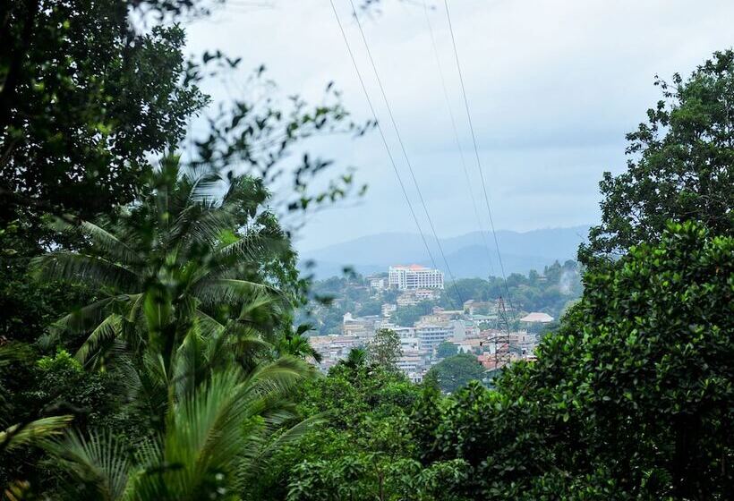 مبيت وإفطار Resort Beam