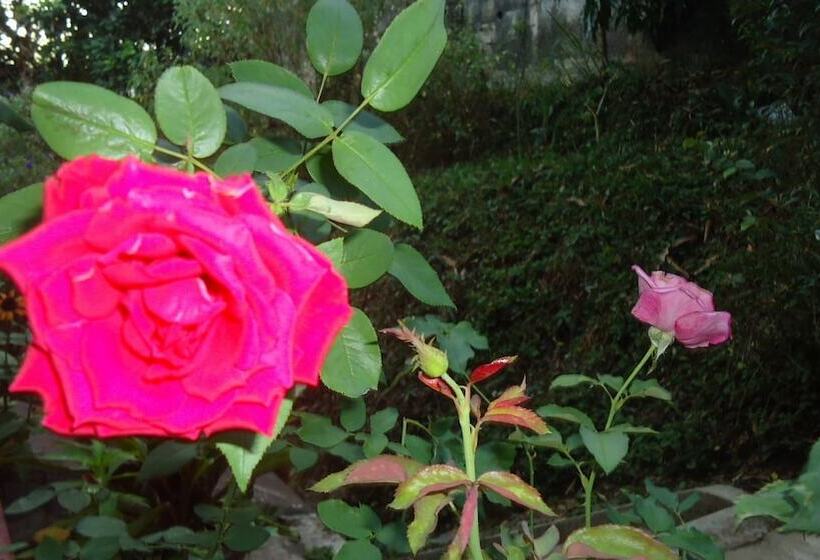 مبيت وإفطار Resort Beam