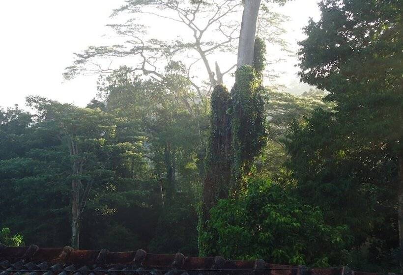 مبيت وإفطار Resort Beam