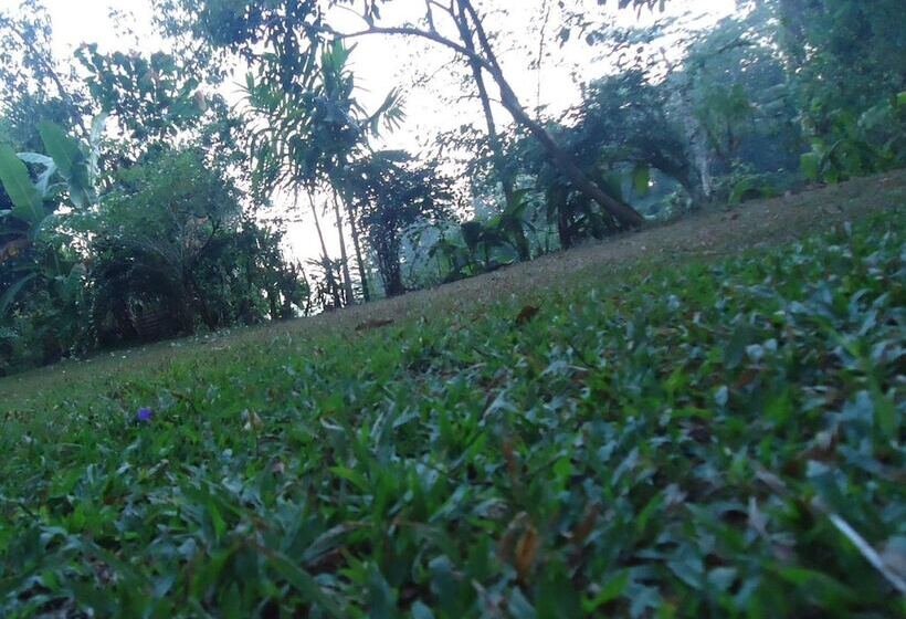 مبيت وإفطار Resort Beam