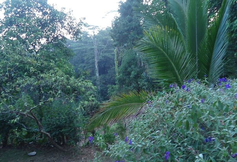 مبيت وإفطار Resort Beam