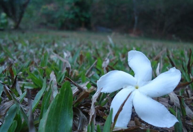 مبيت وإفطار Resort Beam