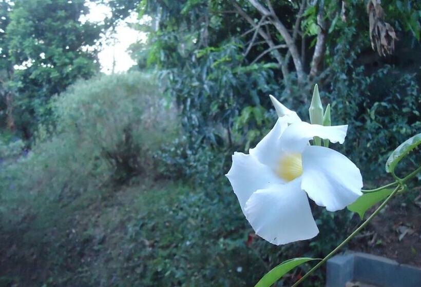 مبيت وإفطار Resort Beam