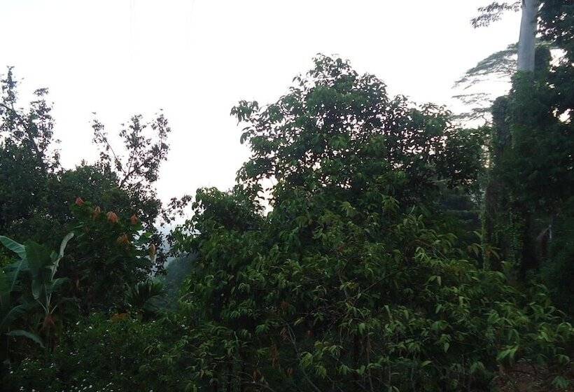 مبيت وإفطار Resort Beam