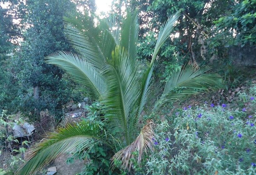 مبيت وإفطار Resort Beam