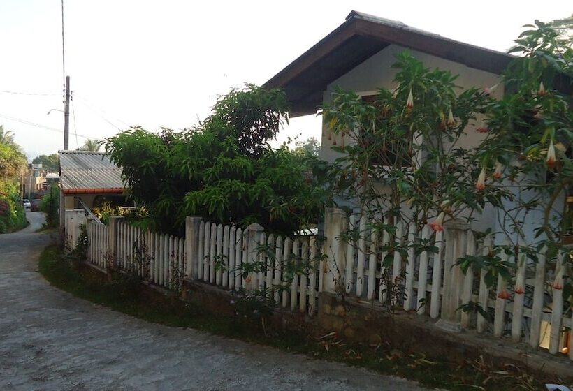 مبيت وإفطار Resort Beam