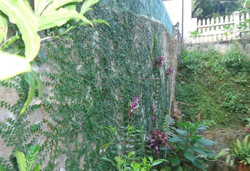 مبيت وإفطار Resort Beam