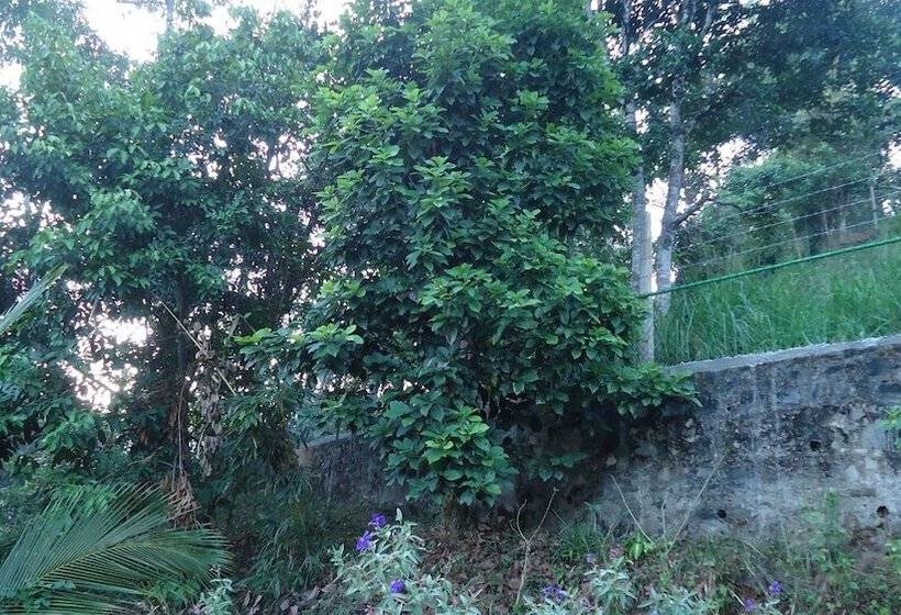 مبيت وإفطار Resort Beam