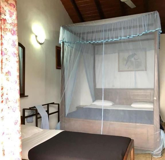 Hotel Ambiente Guest House