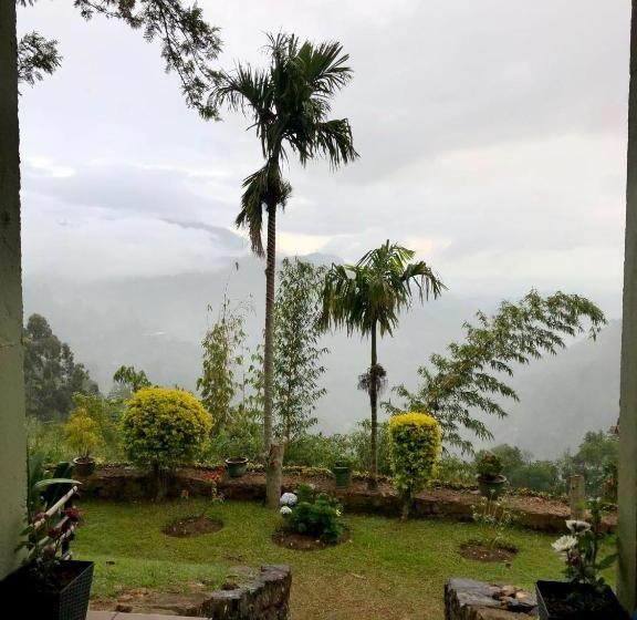 Hotel Ambiente Guest House