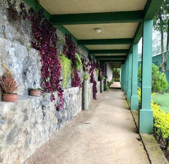 Hotel Ambiente Guest House