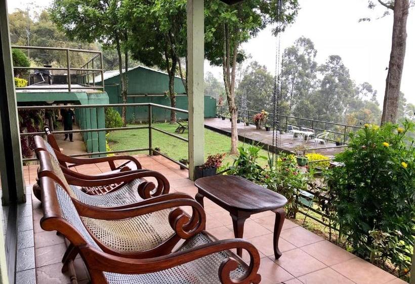 Hotel Ambiente Guest House