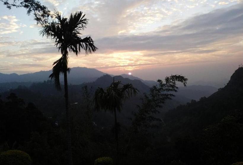 Hotel Ambiente Guest House