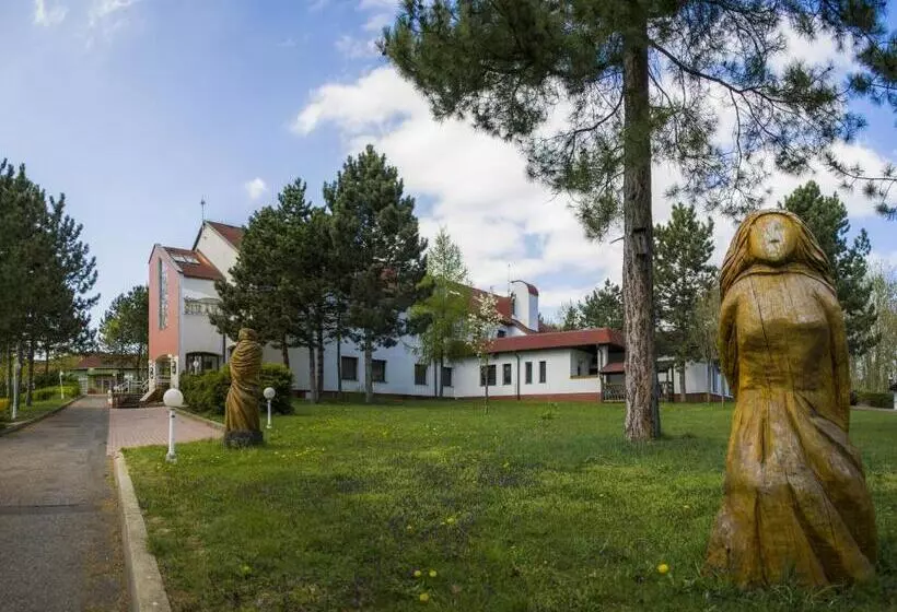 Hotel širák