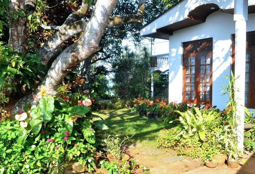 Hotel Kandy View Villa