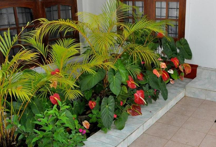 Hotel Kandy View Villa