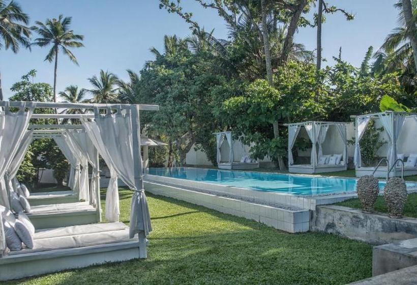 בית מלון כפרי W15 Escape Ahangama