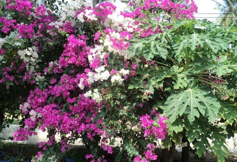 Hotelli New White Sand Beach