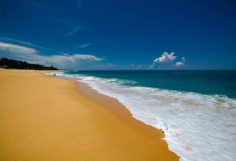 Mawella Beach Resort