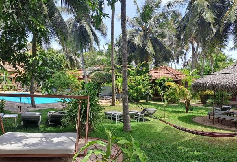 Puetz Travels Beach Resort